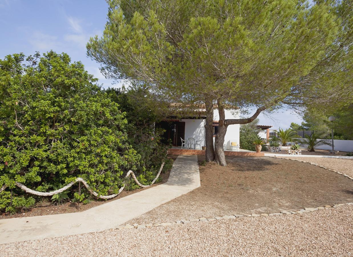 Viviendas Los Olivos - Formentera Break Playa Migjorn Exteriér fotografie